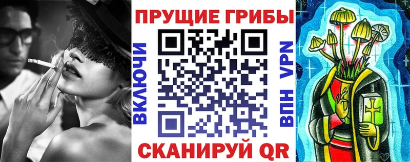 Купить закладки  Новохопёрск  Галлюциногенные грибы мицелий 